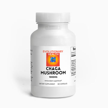 Chaga Mushroom