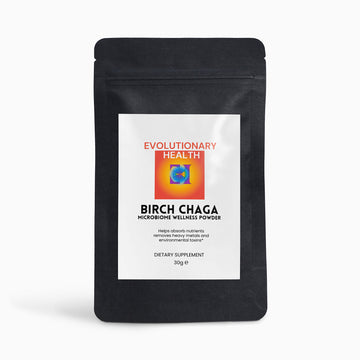 Birch Chaga Microbiome Wellness Powder